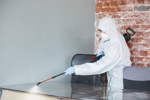 Why You Should Choose Our Mold Remediation Services in Union, MO